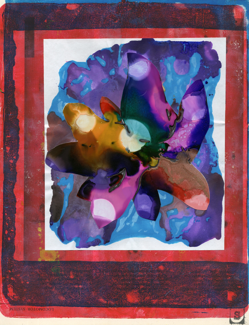 abstract flower collage samserif