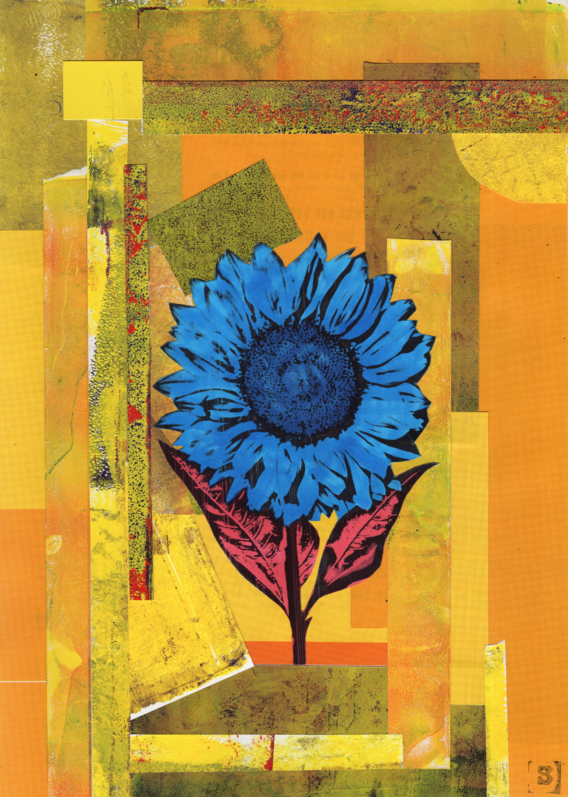 sunflower collage samserif